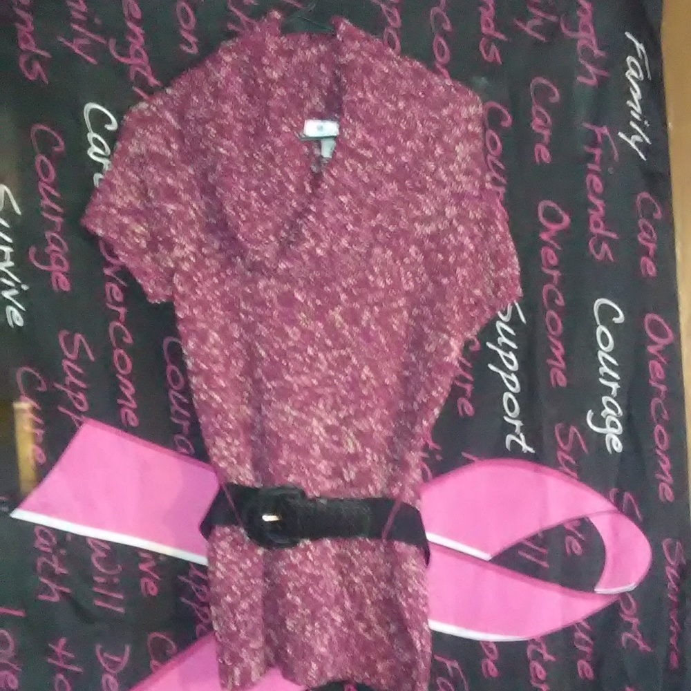 Dressbarn Pink,Red Sweater Dress
